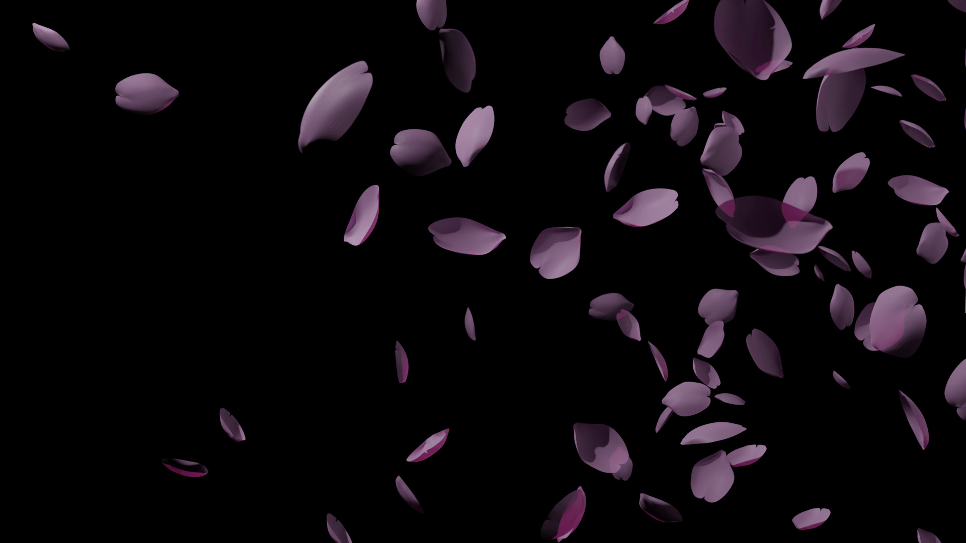 Pink petals drifting through the air in a dark space